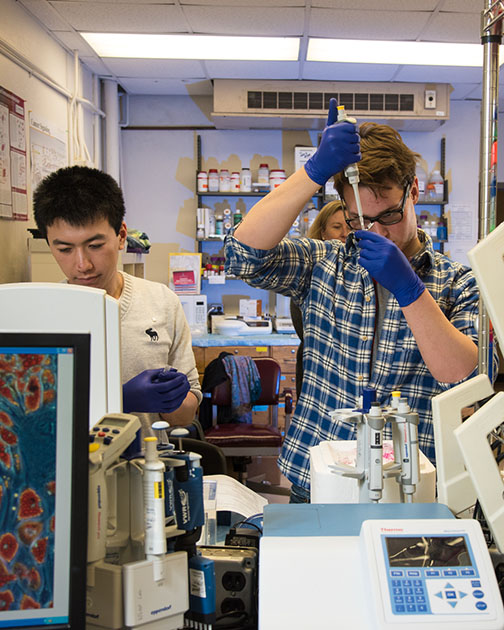 D15_400_053_crop_V Two students work in a lab.