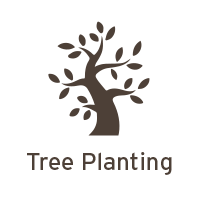 Tree Planting Tree Planting