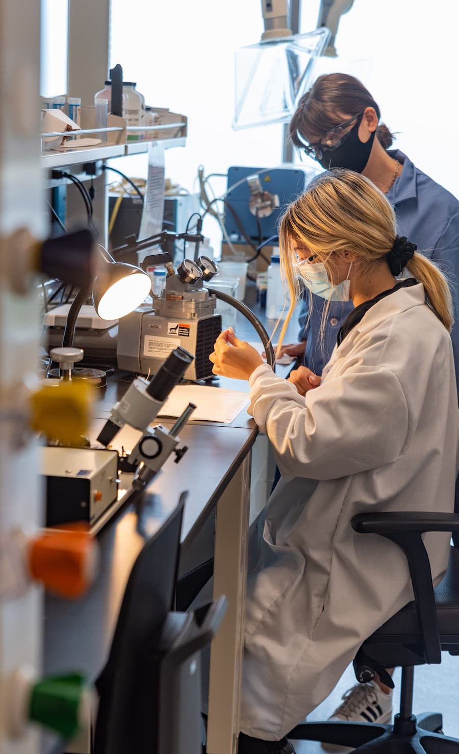 Students in the Chemistry Lab.