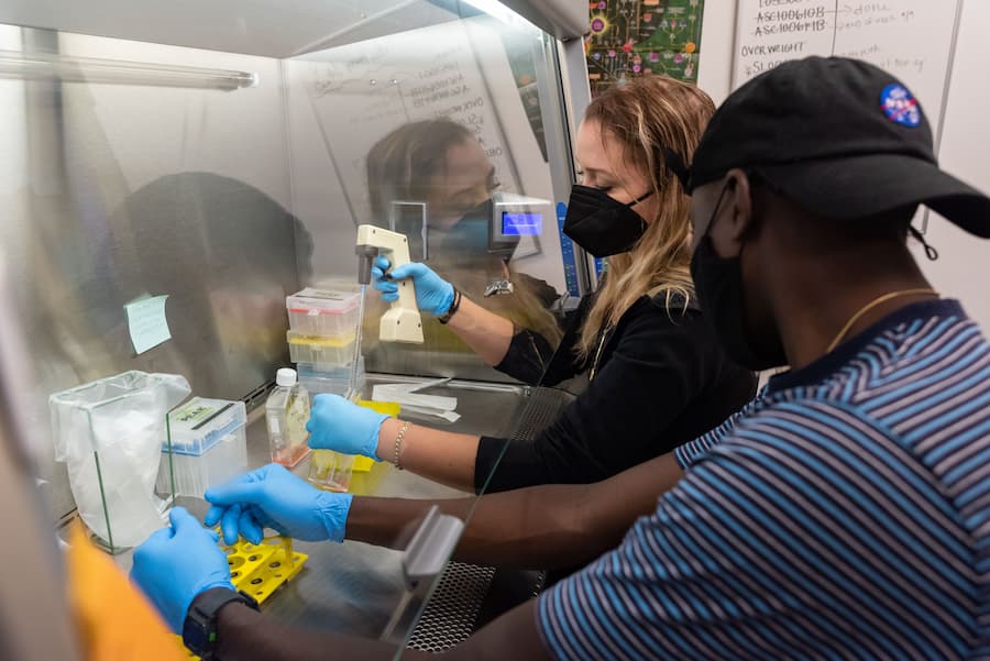 Students in the Biology Lab.