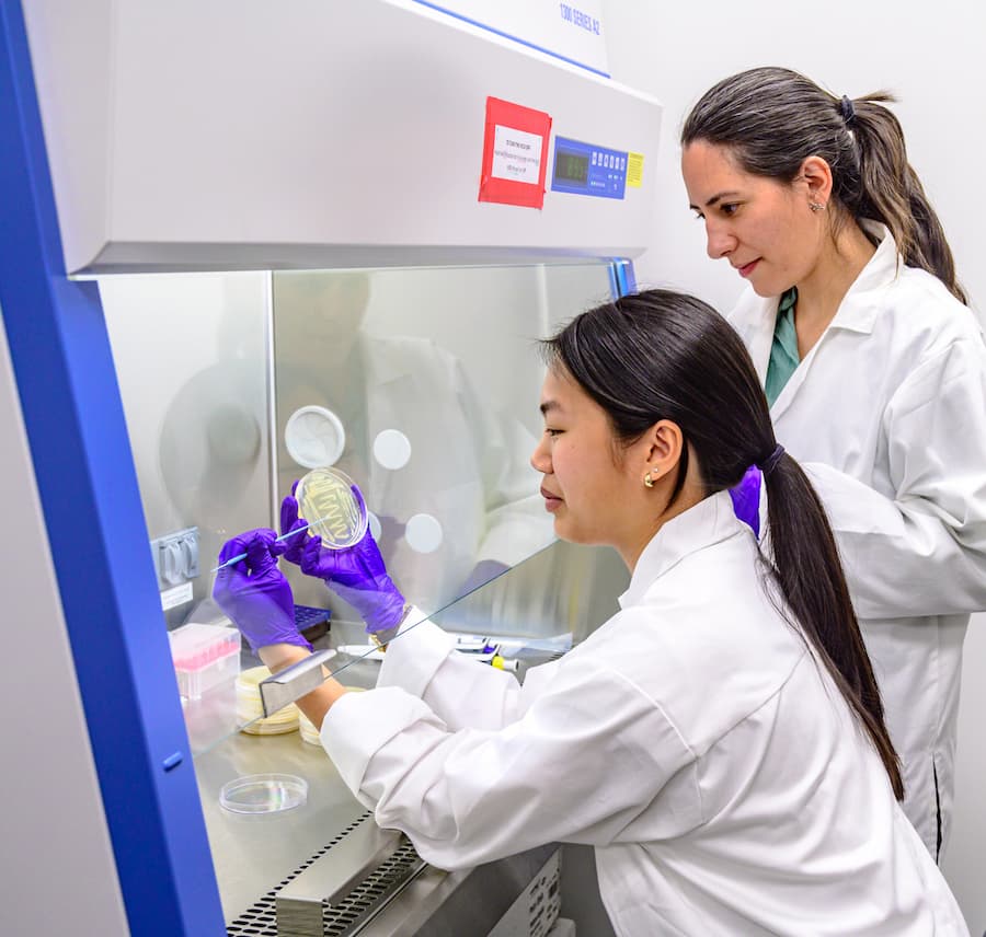 Professor Cardenas and student examine bacteria sample.