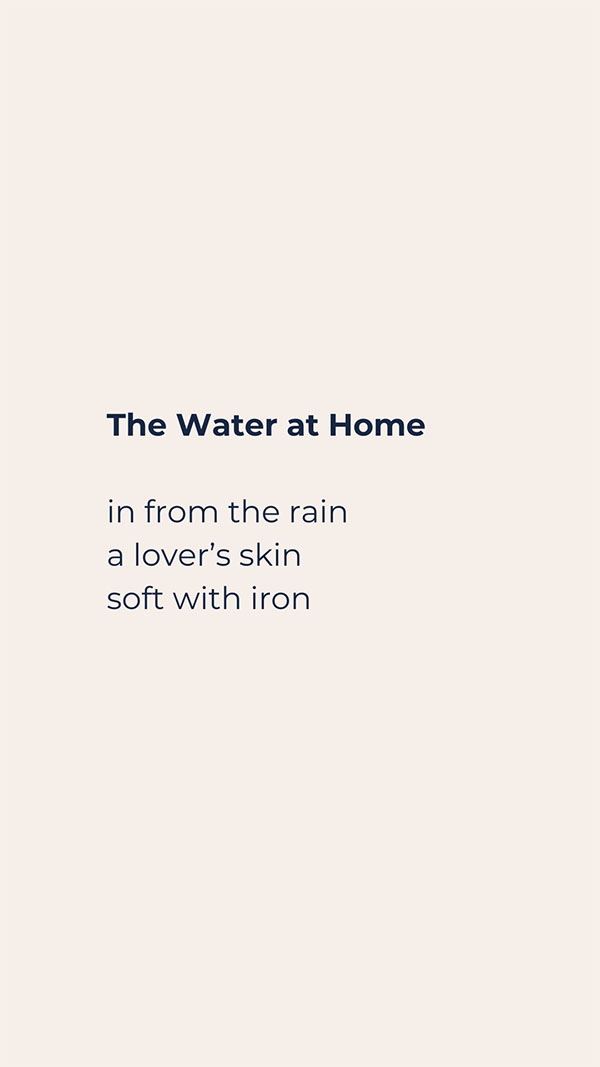 The Water at Home in from the rain a lover's skin soft with iron