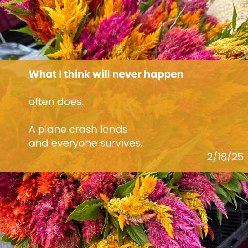 What I think will never happen often does. A plane crash lands and everyone survives. 2/18/25