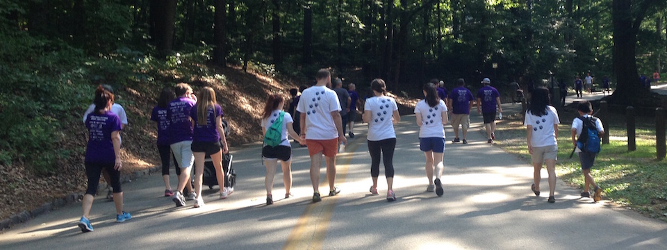 OCD Walk 2015