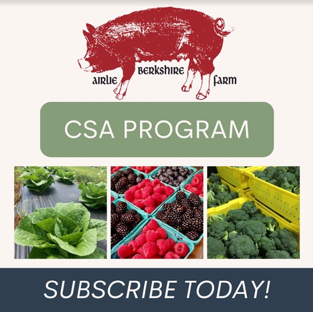 Airle CSA graphic
