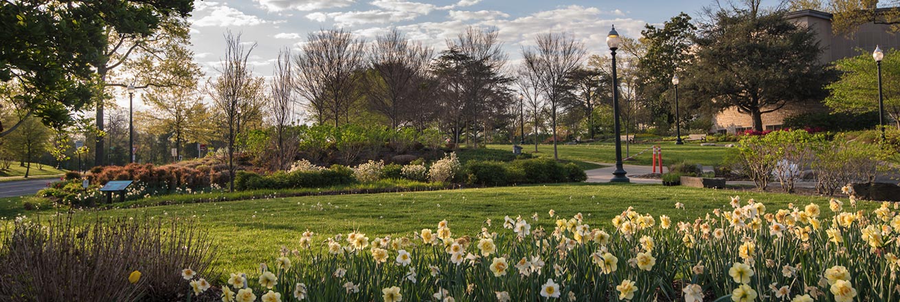 Campus in early spring