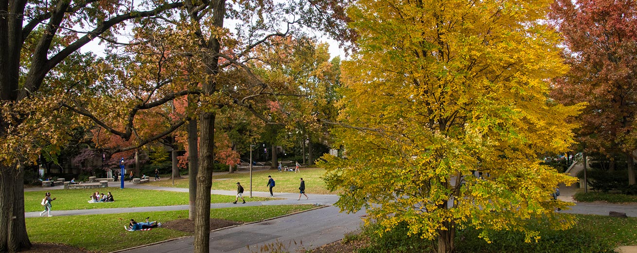 Campus in the fall