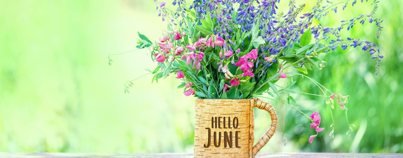 HelloJune