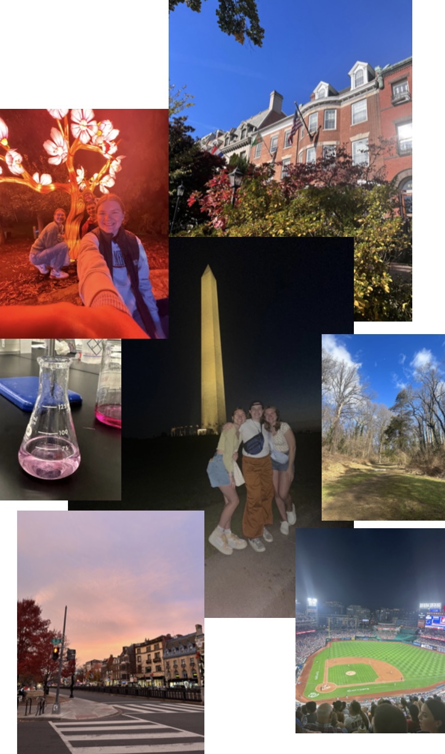 Various Photos around DC! 2