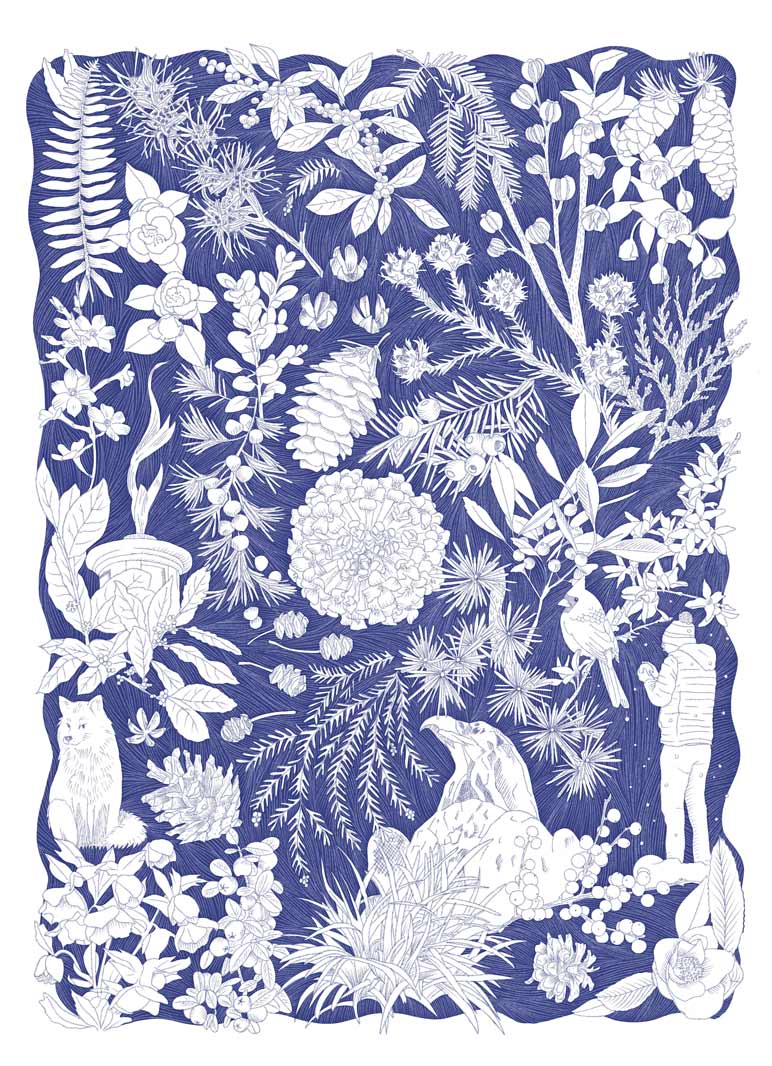 illustration of AU Arboretum in the winter