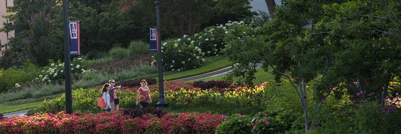 The American University campus green