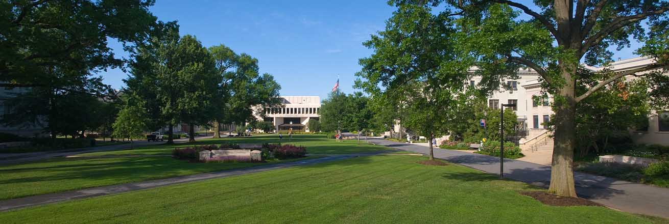 The Quad with Bender Library in the distance