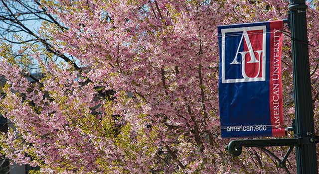 An American University pennant against a backdrop of cherry blossoms