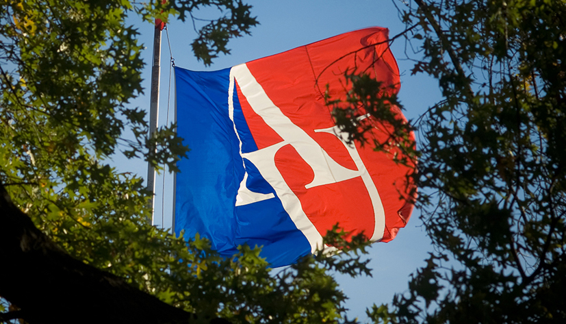 AU Flag among trees