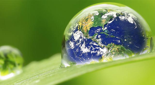 leaf with rain droplet on it that has a world globe enveloped inside the rain drop