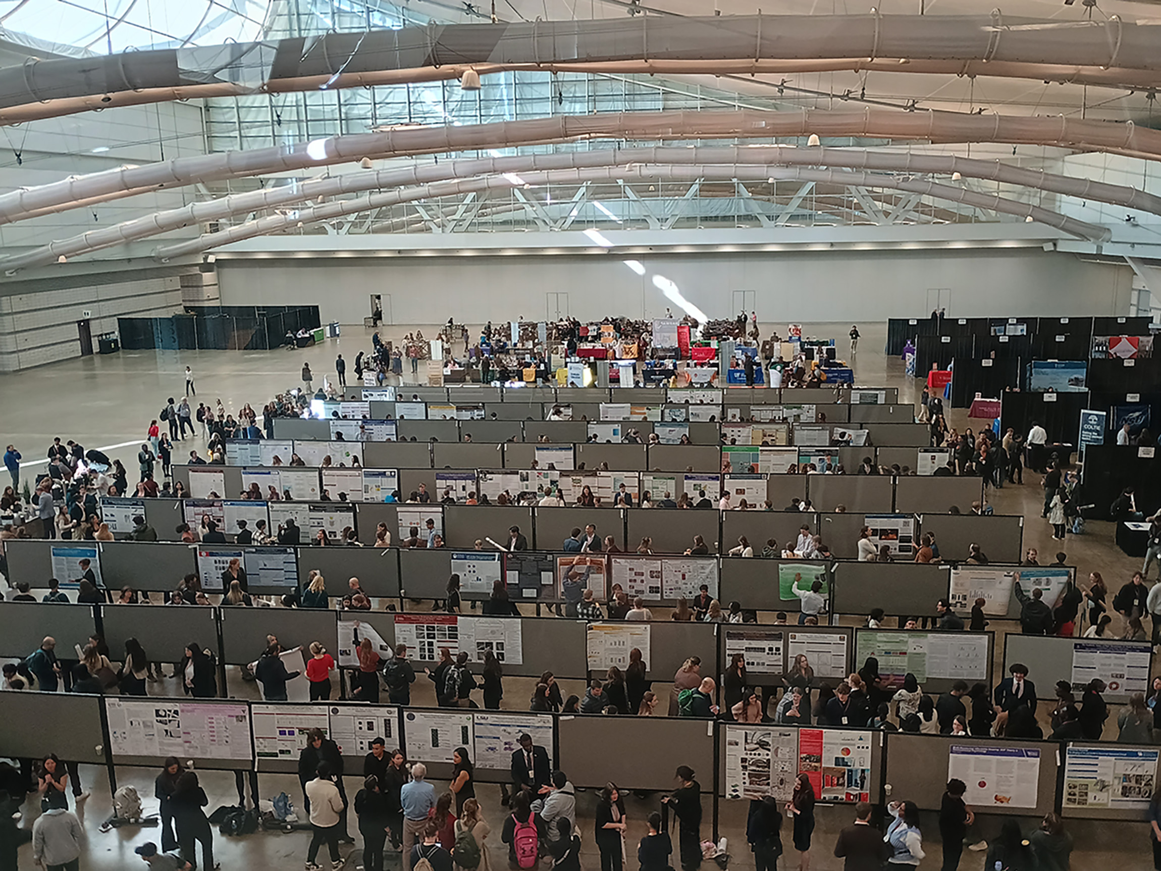 Posters displayed at NCUR. Photo by Flynn Gray.