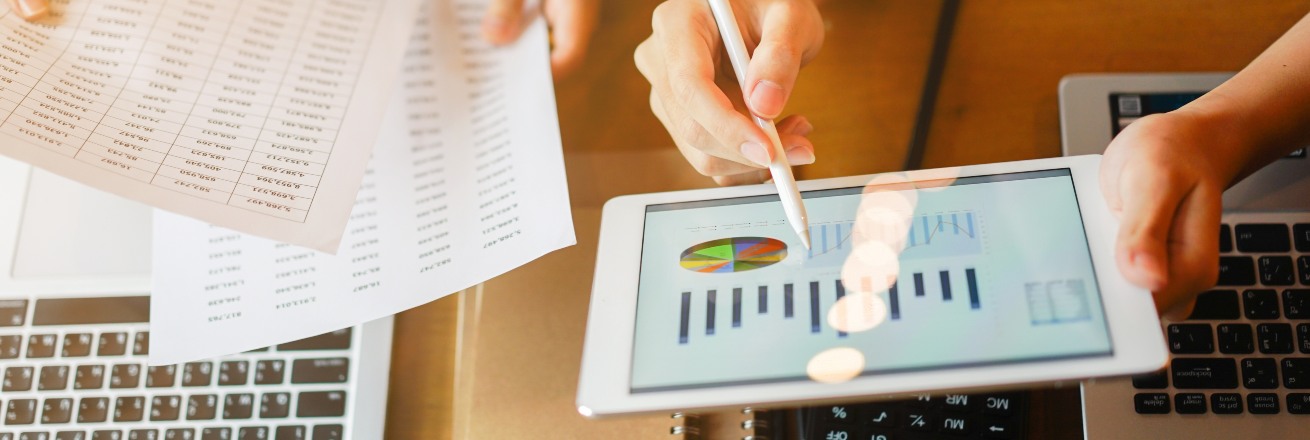 person reviewing budget data