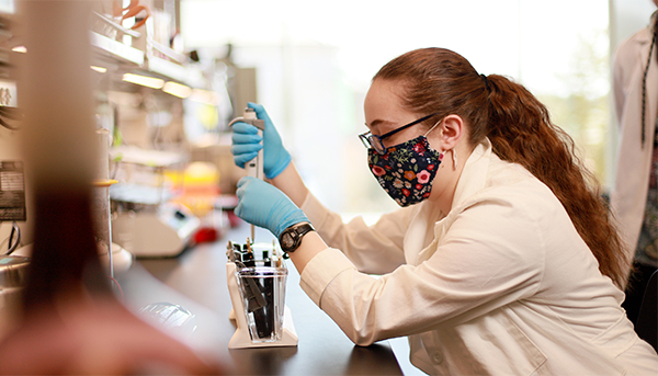 Students work in a lab