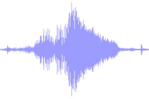 Sound waveform that starts small grows very wide and then narrows