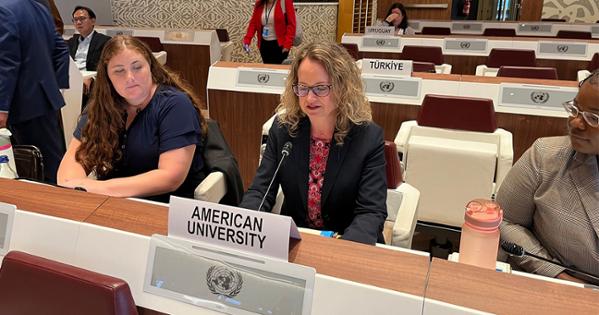 Professor Elizabeth Keith talking at the UN