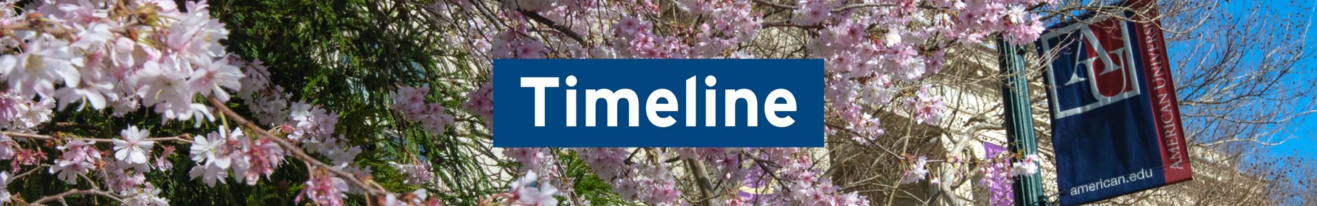 Timeline